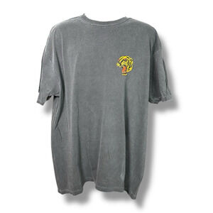 Dashboard Confessional 2 Side Graphic T-shirt Gray Roaring Tiger Concert Tee 2XL